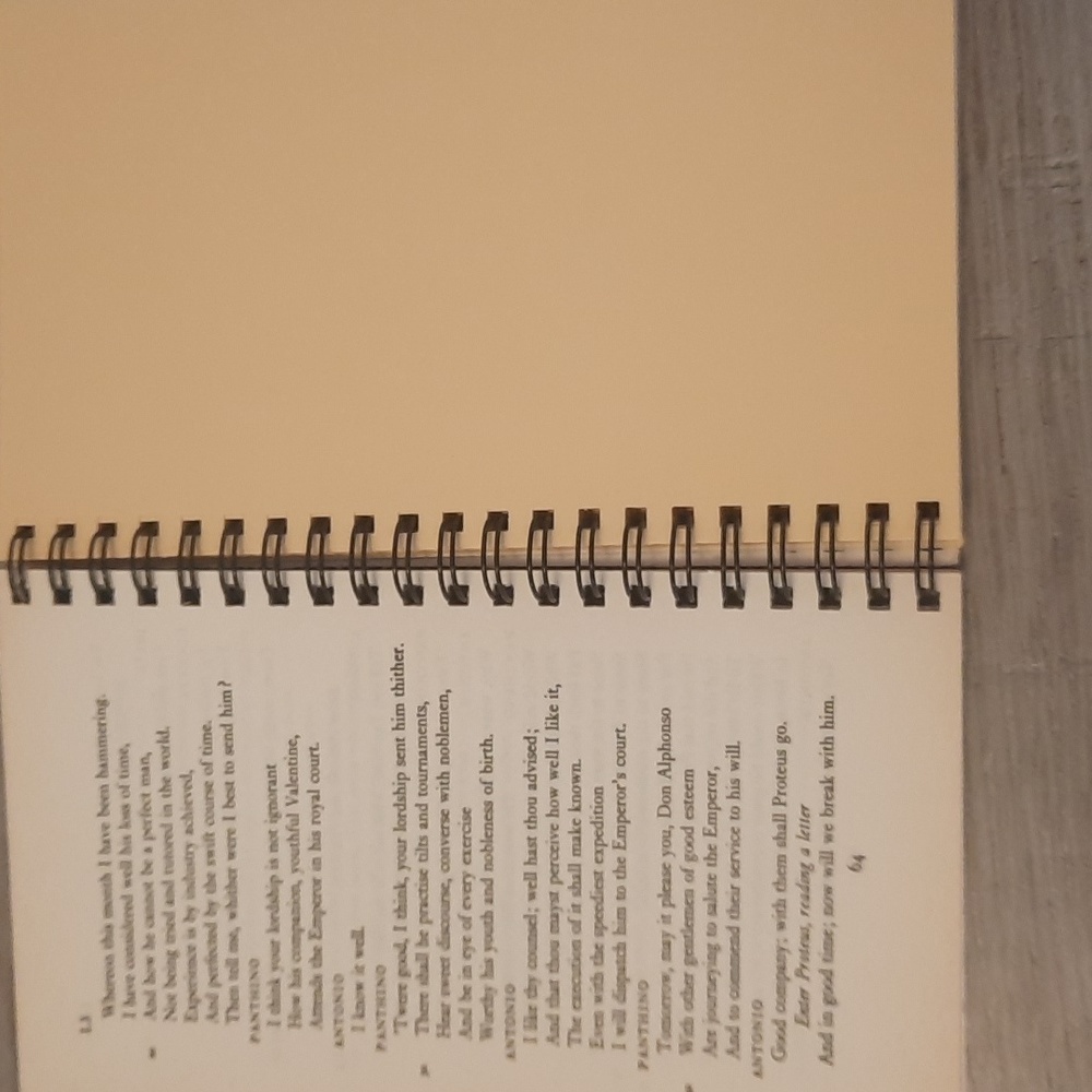 Secret Journal "The two gentlemen of Verona" - Picture 2 of 5